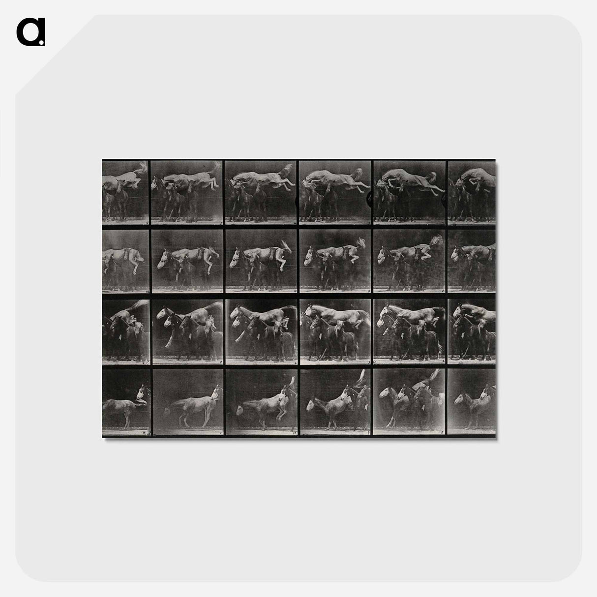 アートポストカード-Horse and Ponies
- エドワード マイブリッジ Postcard.