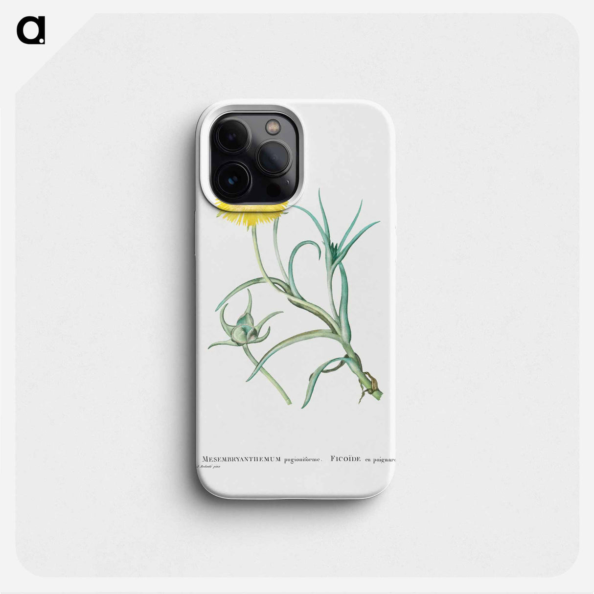 Conicosia Pugioniformis (Narrow–Leaved Iceplant) - Pierre-Joseph Redouté Phone Case.