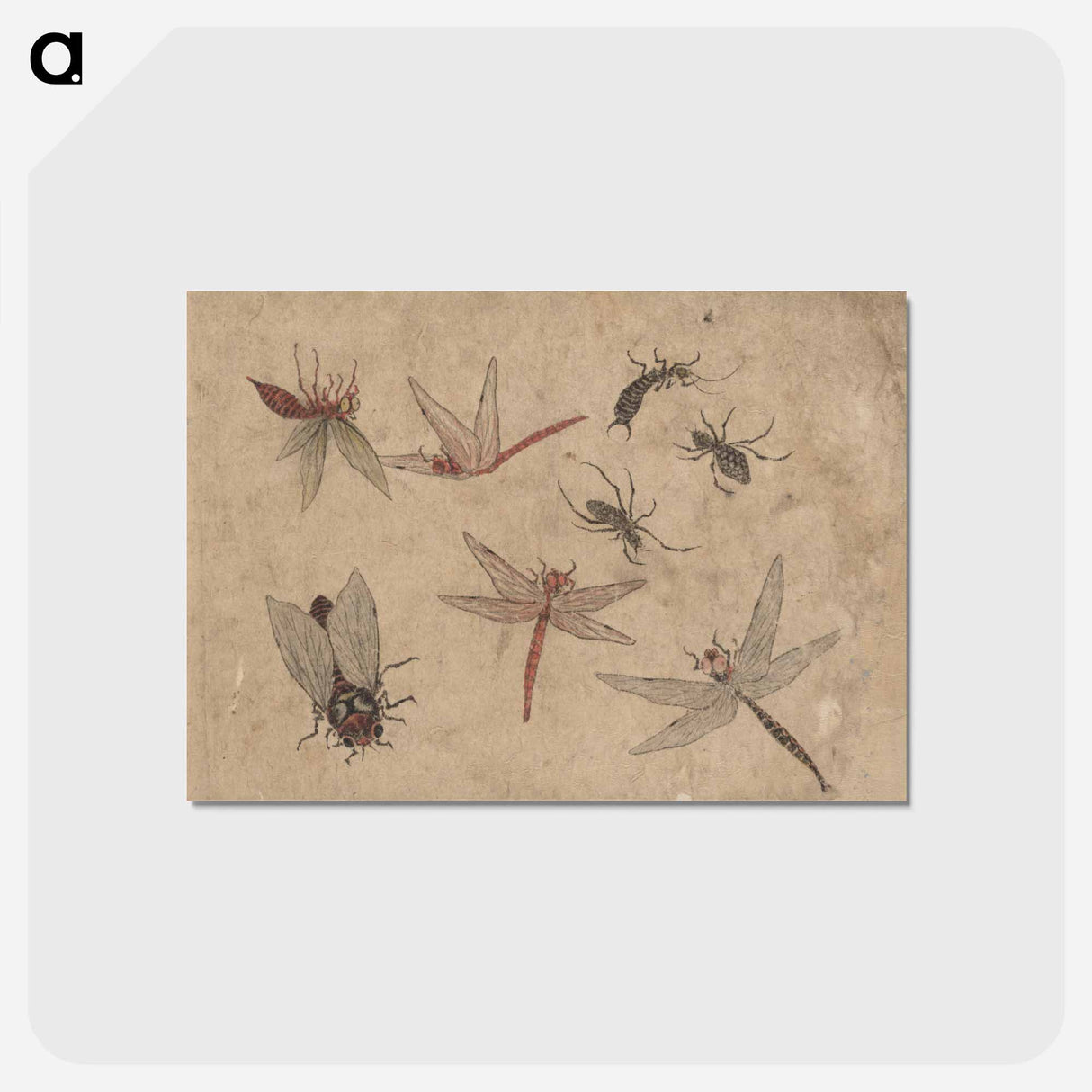 アートポストカード-Album of Sketches by Katsushika Hokusai and His Disciples - 葛飾 北斎 Postcard.