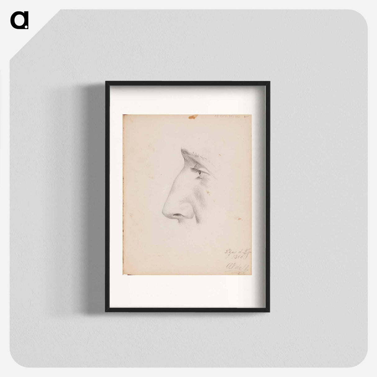 Miehen kasvot sivulta, silmä ja nenä - アルバート エーデルフェルト Poster.