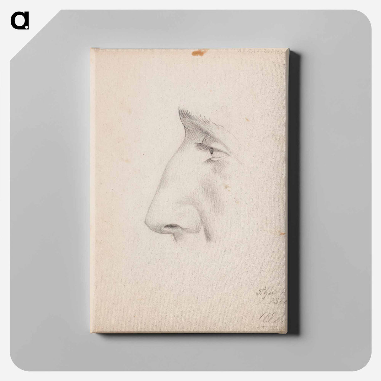 Miehen kasvot sivulta, silmä ja nenä - アルバート エーデルフェルト Canvas.