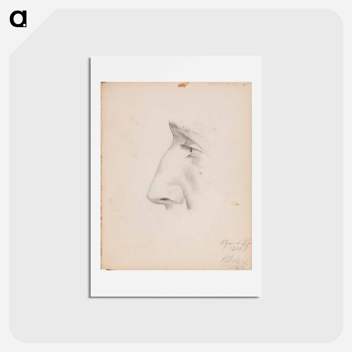 Miehen kasvot sivulta, silmä ja nenä - アルバート エーデルフェルト Postcard.