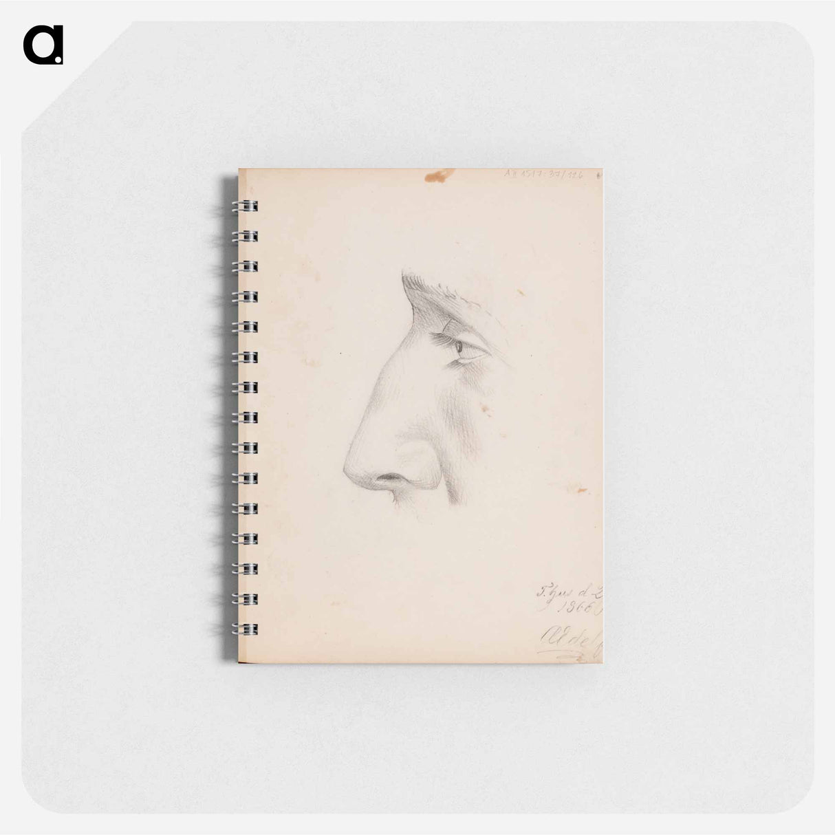 Miehen kasvot sivulta, silmä ja nenä - アルバート エーデルフェルト Memo.