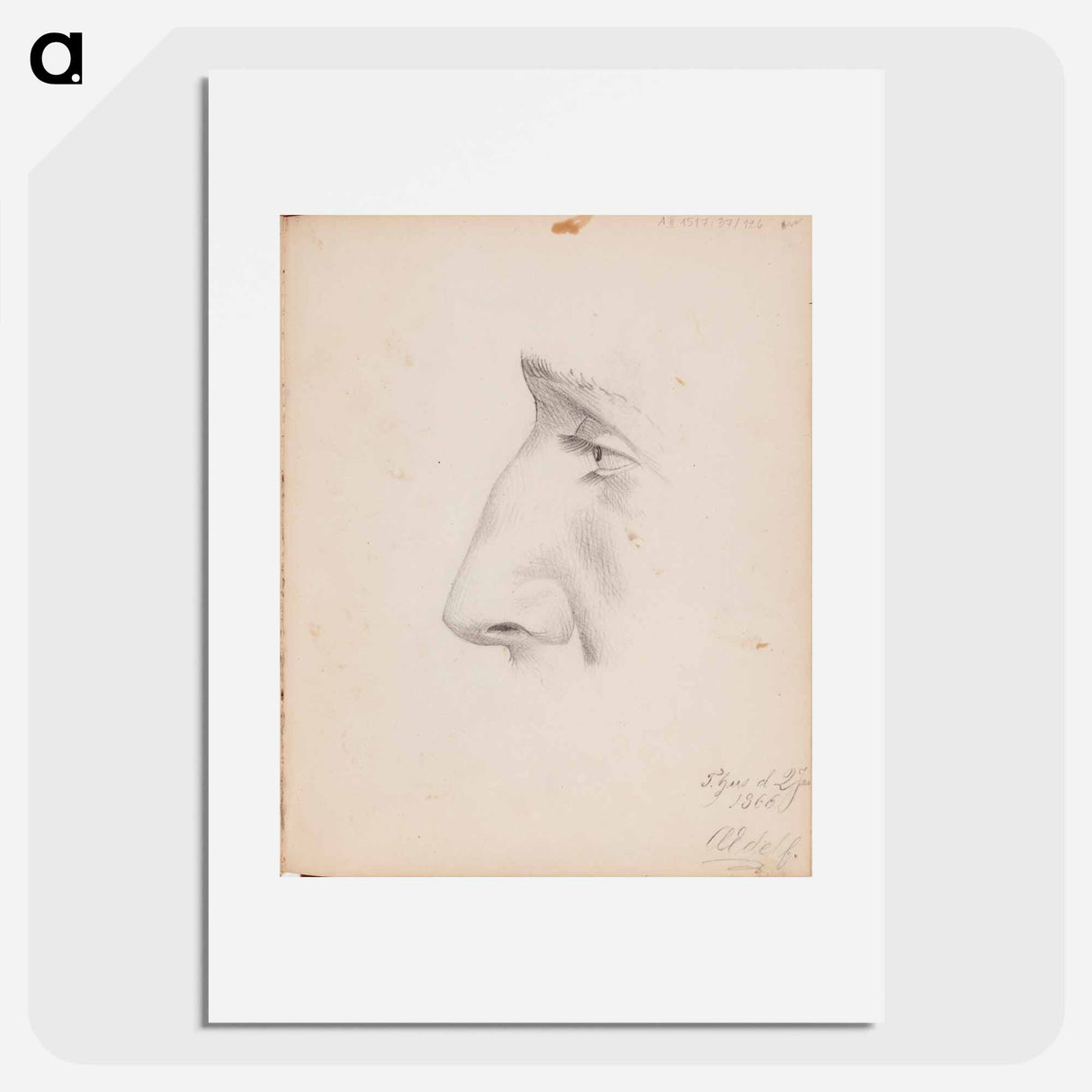 Miehen kasvot sivulta, silmä ja nenä - アルバート エーデルフェルト Poster.