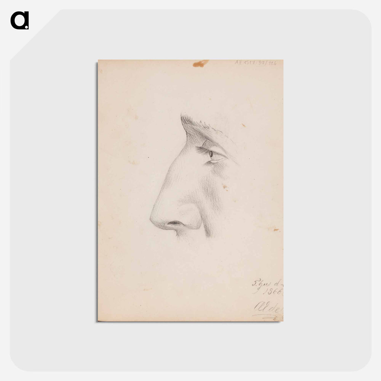 Miehen kasvot sivulta, silmä ja nenä - アルバート エーデルフェルト Postcard.