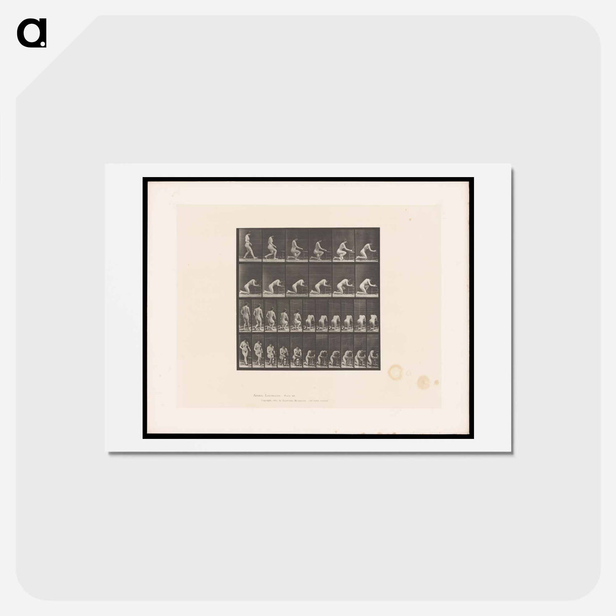 アートポストカード-Praying Woman
- エドワード マイブリッジ Postcard.