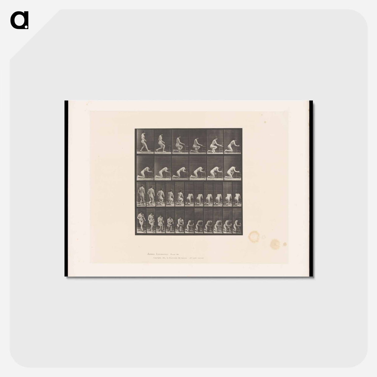 アートポストカード-Praying Woman
- エドワード マイブリッジ Postcard.