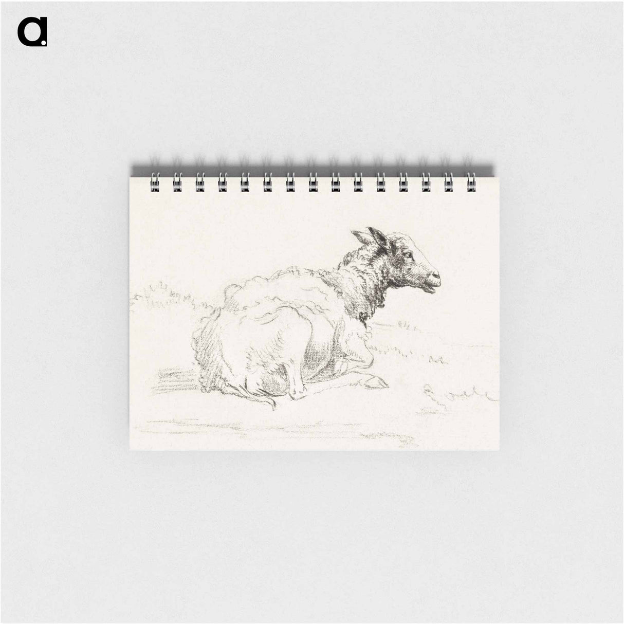 Lying sheep - ジャン ベルナール Memo.