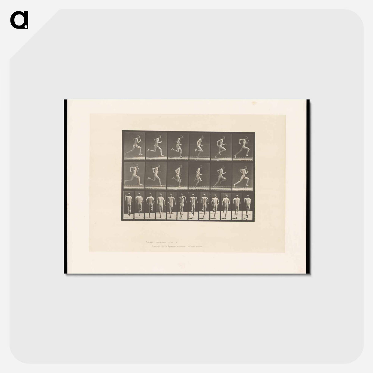 アートポストカード-Sprinting Man
- エドワード マイブリッジ Postcard.