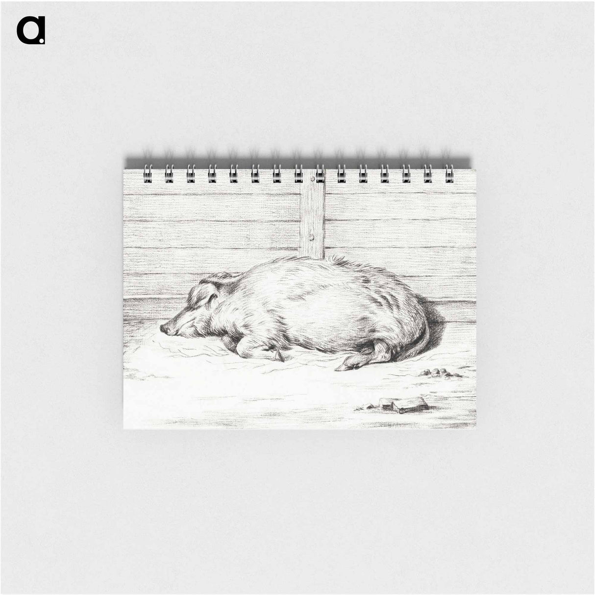 Lying pig - ジャン ベルナール Memo.