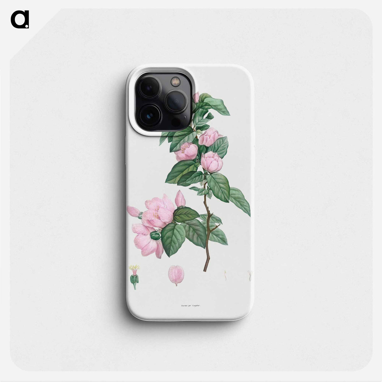 Pale pink flower - Pierre Joseph Redouté Phone Case.