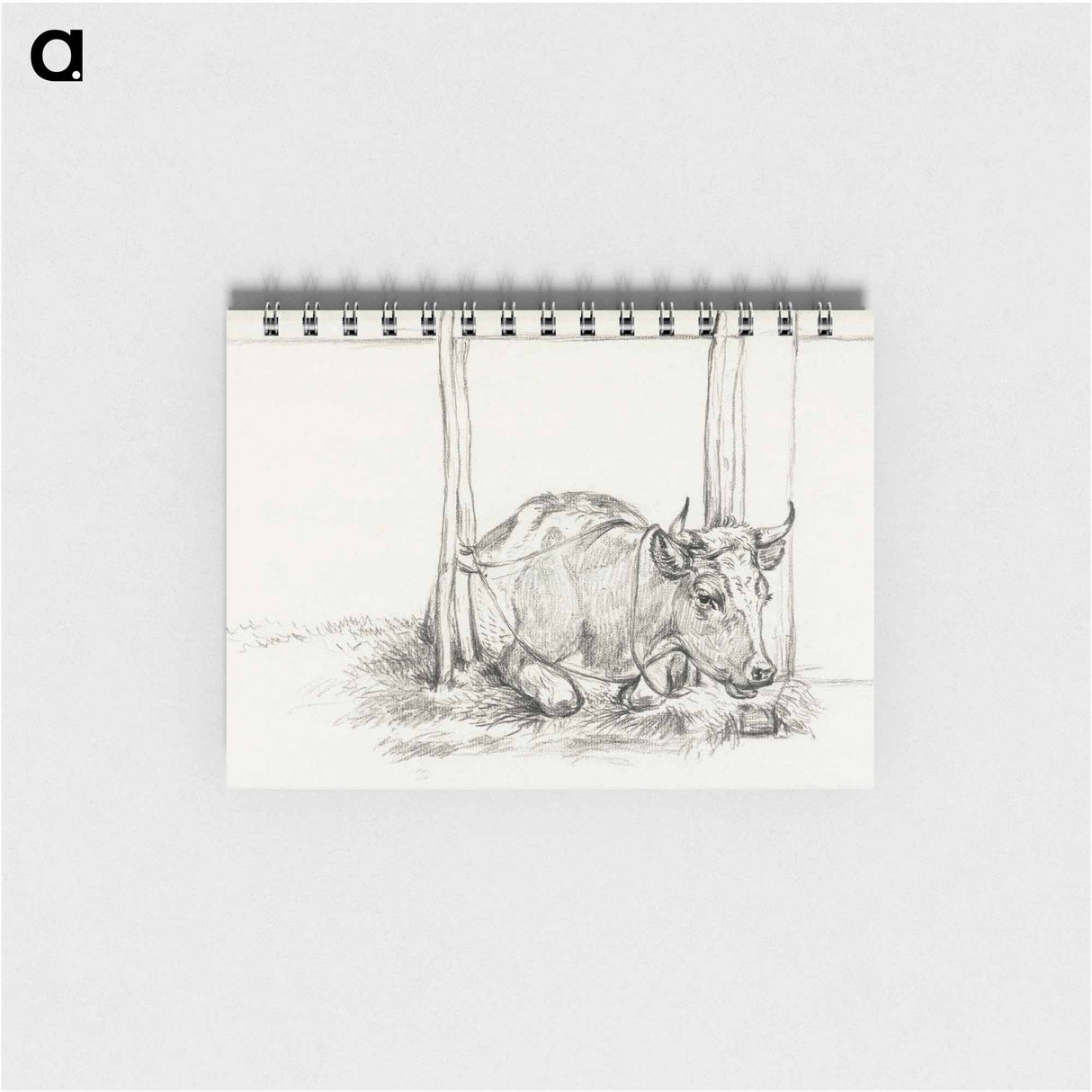 Lying cow - ジャン ベルナール Memo.