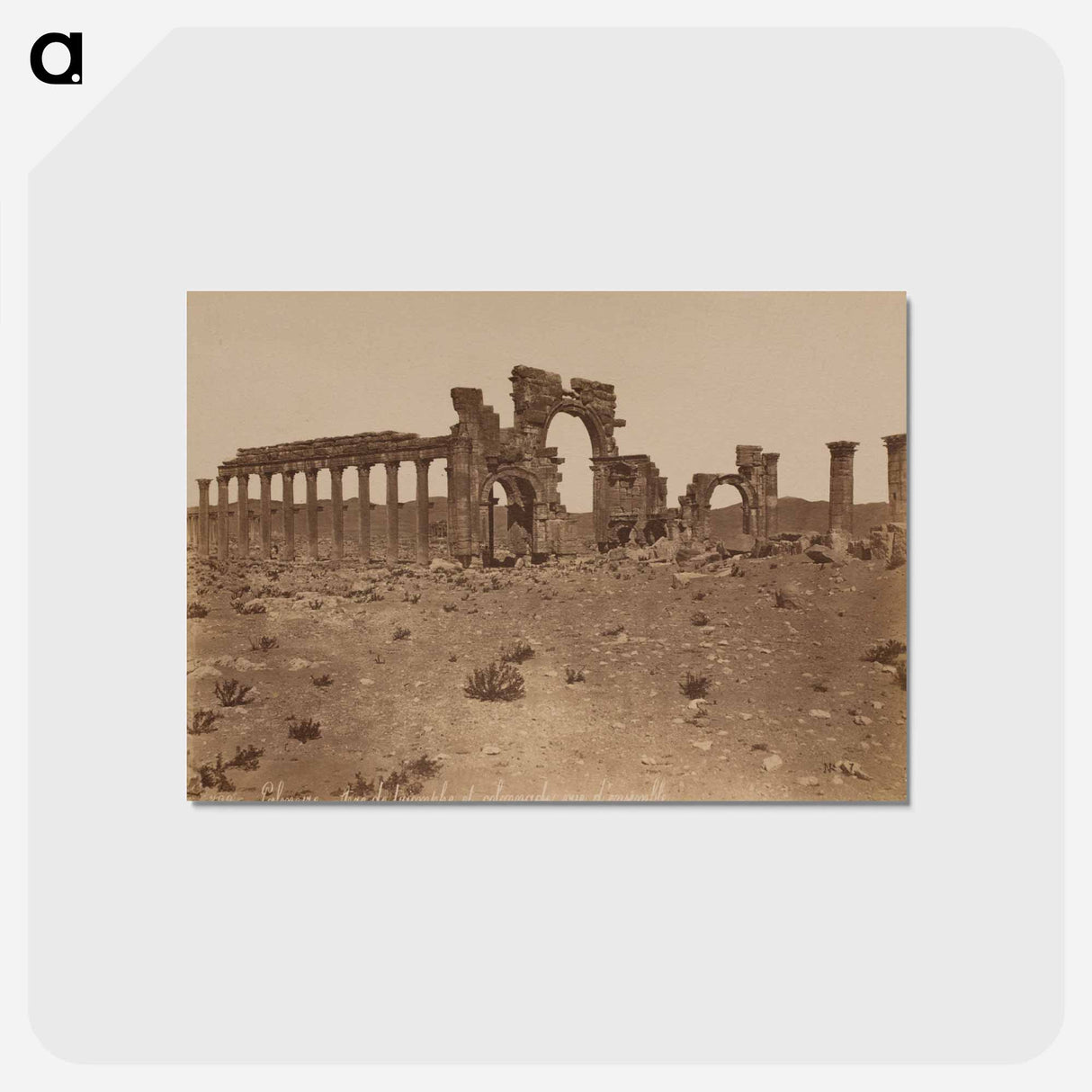 アートポストカード-Palmyra: Triumphal Arch and Colonnade
- セントルイス美術館 Postcard.