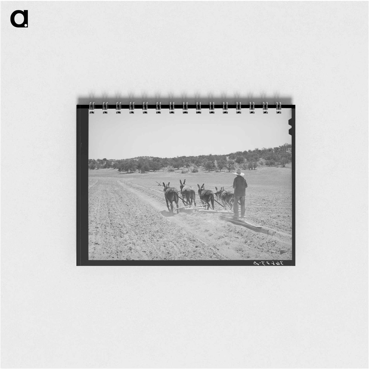 アートメモ帳-Good Shepherd Community Center
- ラッセル リー Memo.