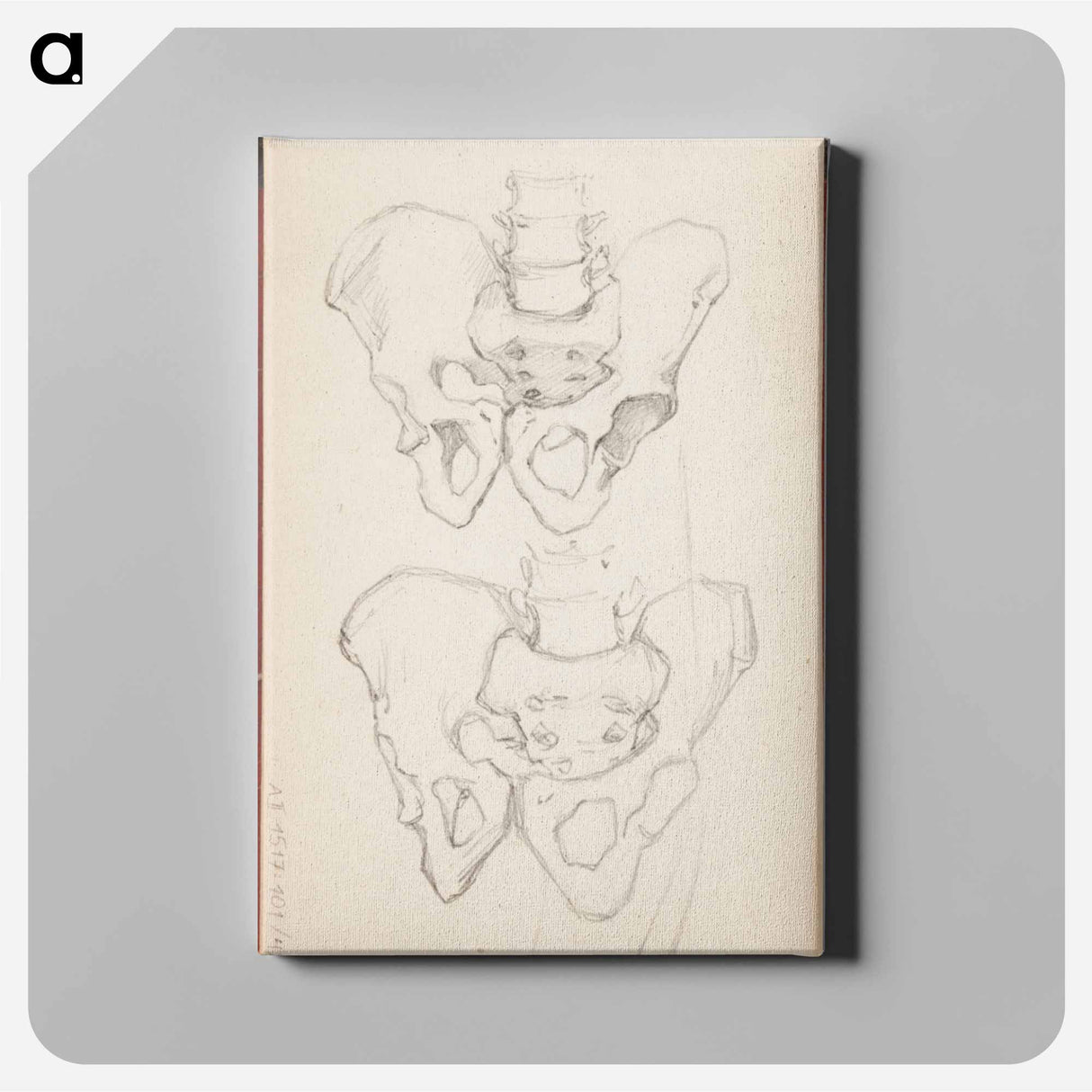 (unknown) part of a sketchbook - アルバート エーデルフェルト Canvas.