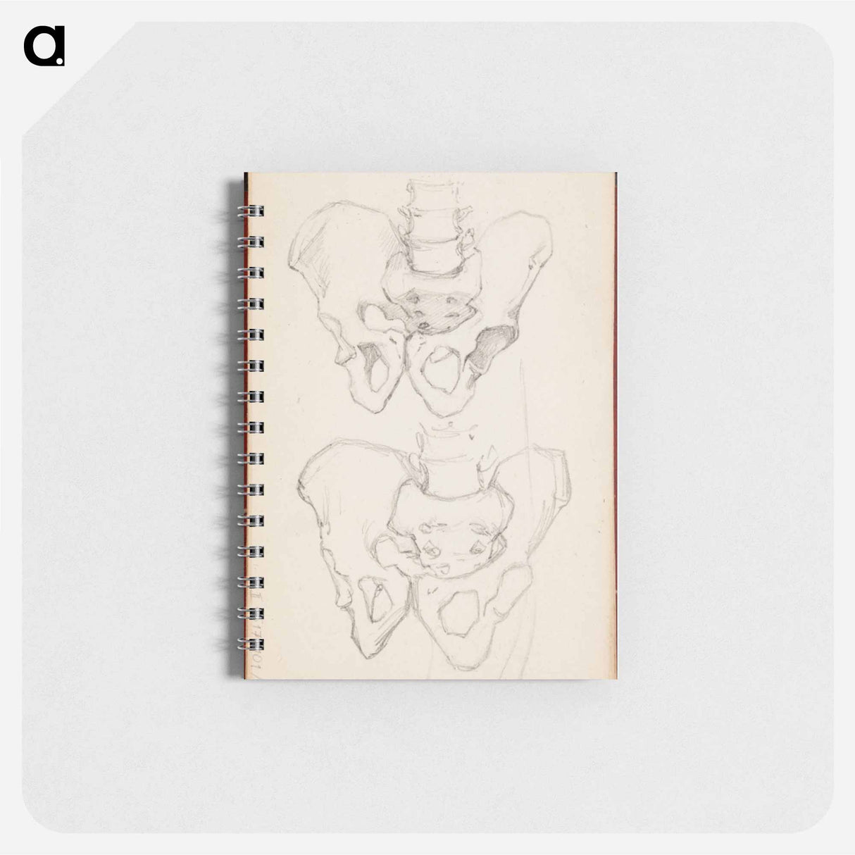 (unknown) part of a sketchbook - アルバート エーデルフェルト Memo.