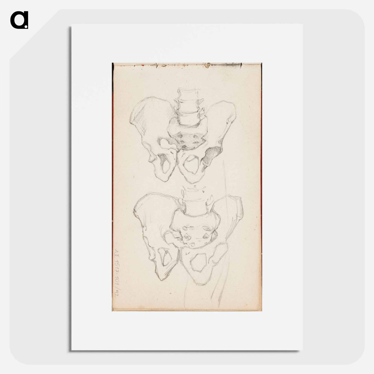 アートポスター-(unknown) part of a sketchbook - アルバート エーデルフェルト Poster.