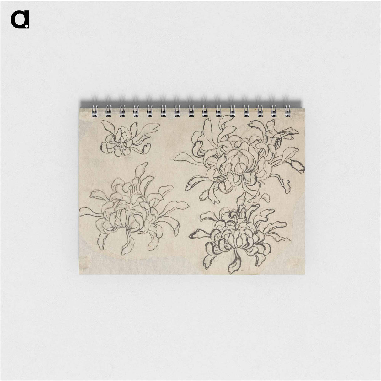 Hokusai's flower sketch - 葛飾 北斎 Memo.
