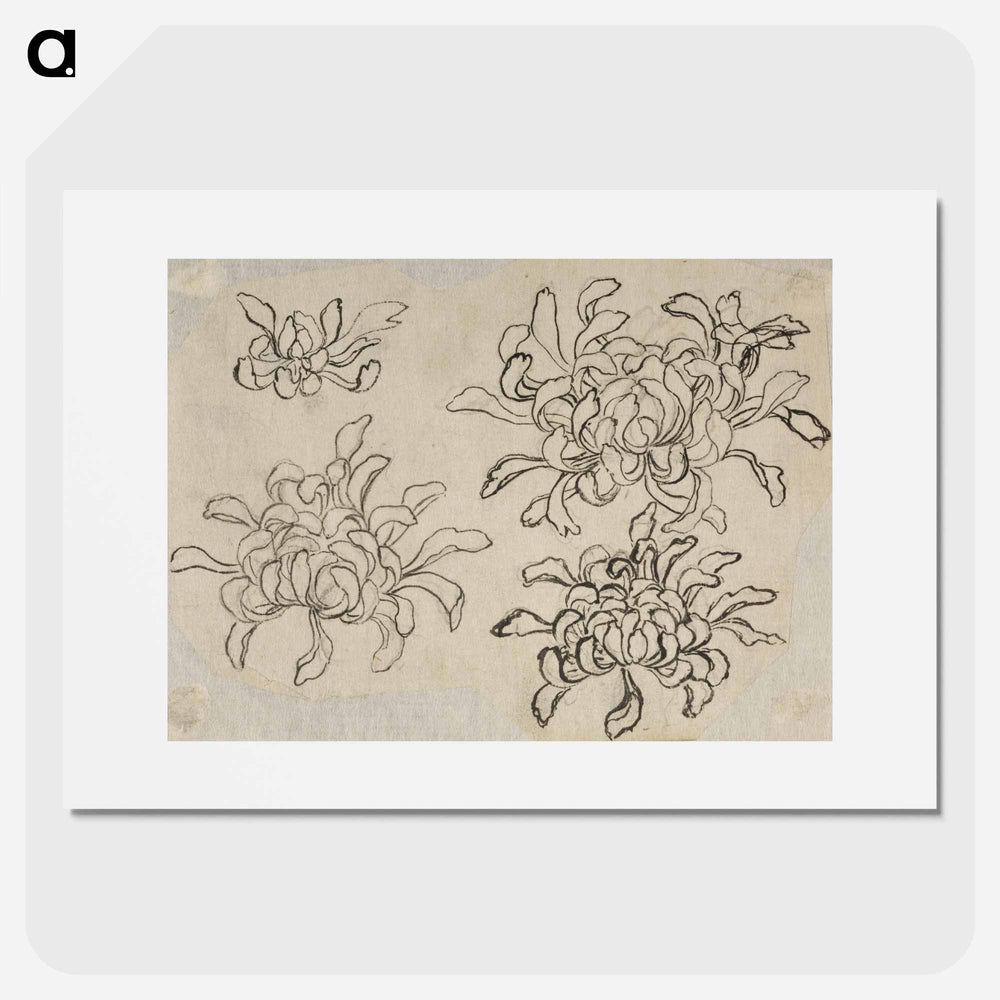 Hokusai's flower sketch - 葛飾 北斎 Poster.