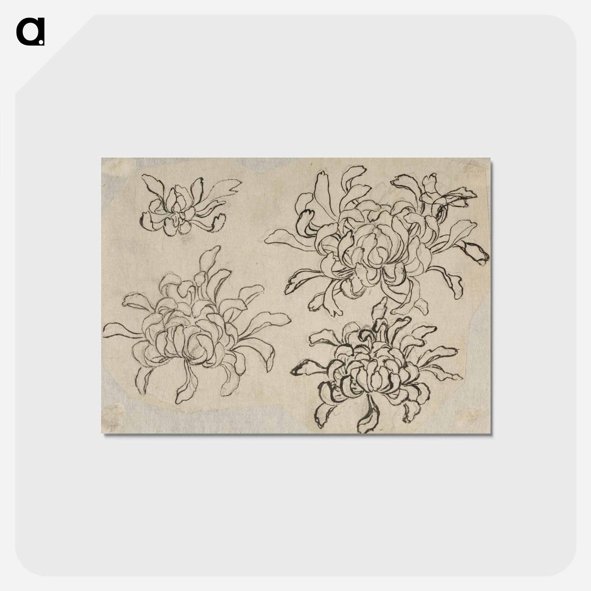 アートポストカード-Hokusai's flower sketch - 葛飾 北斎 Postcard.
