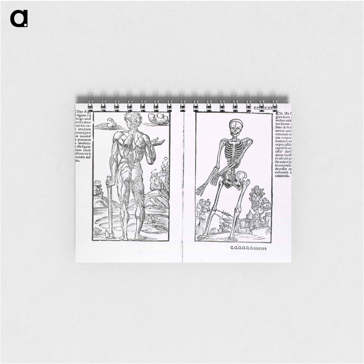 アートメモ帳-Muscles and Bones
- 国立医学図書館 Memo.