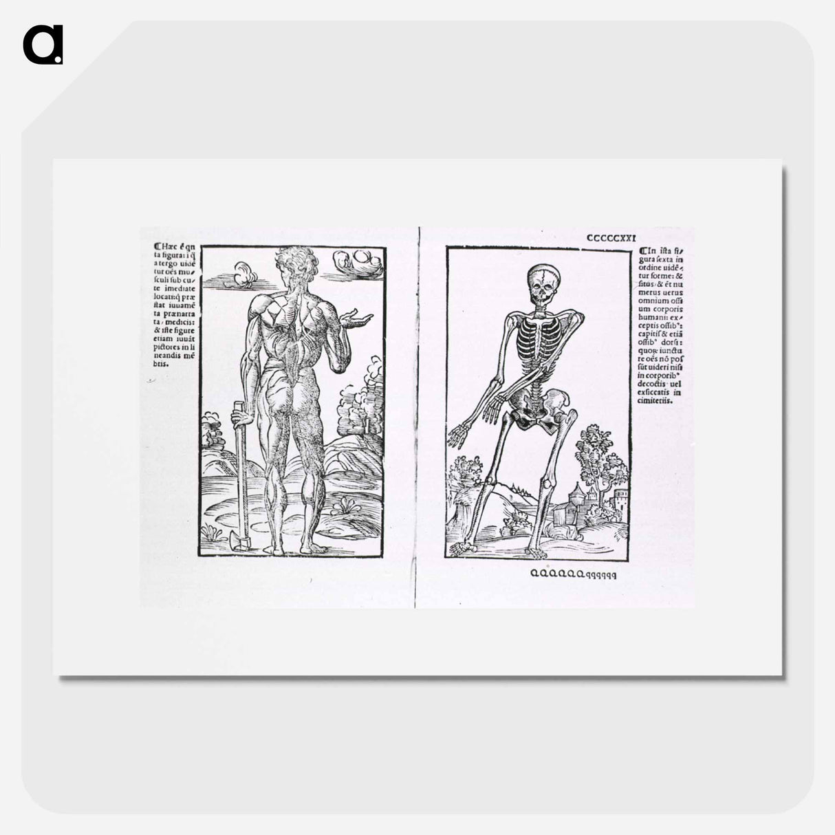 アートポスター-Muscles and Bones
- 国立医学図書館 Poster.