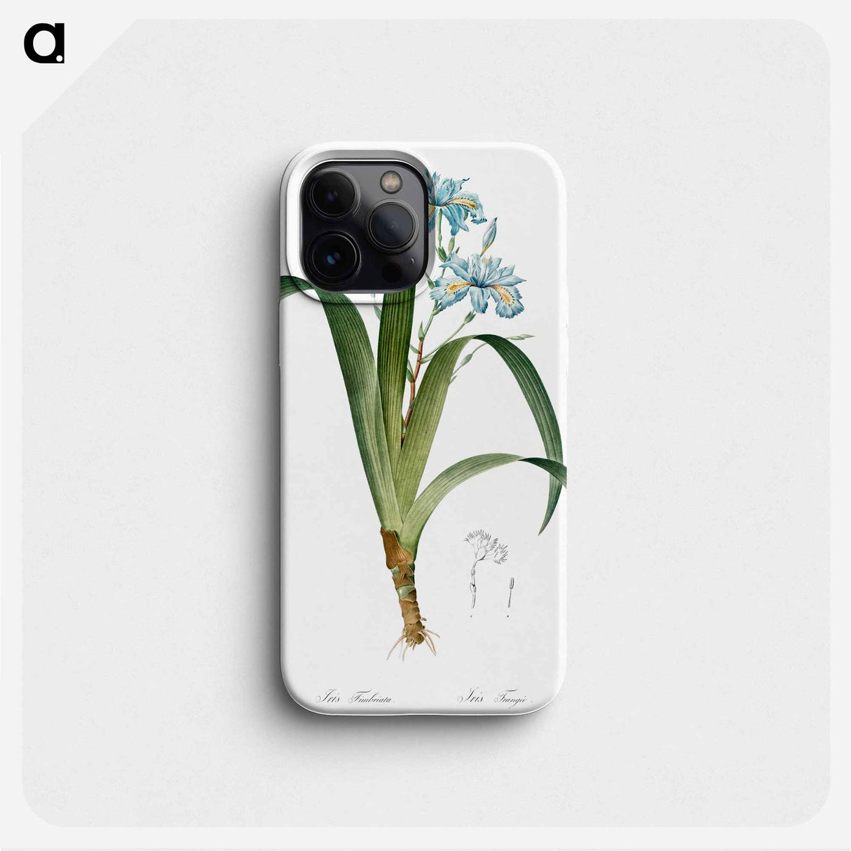 Iris fimbriata illustration - Pierre Joseph Redouté Phone Case.