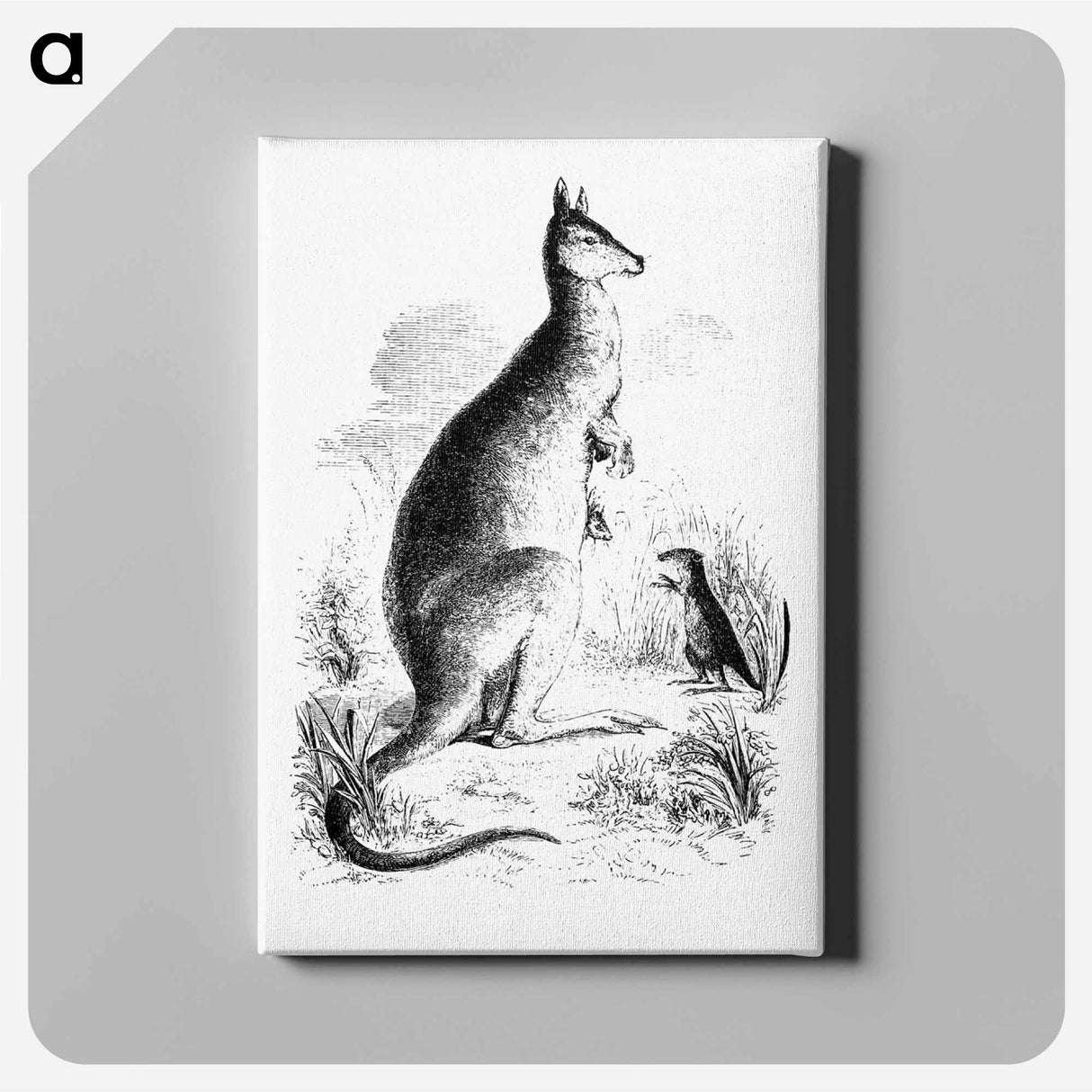アートパネル-Kangaroo and Kangaroo Rat
- 大英図書館 Canvas.