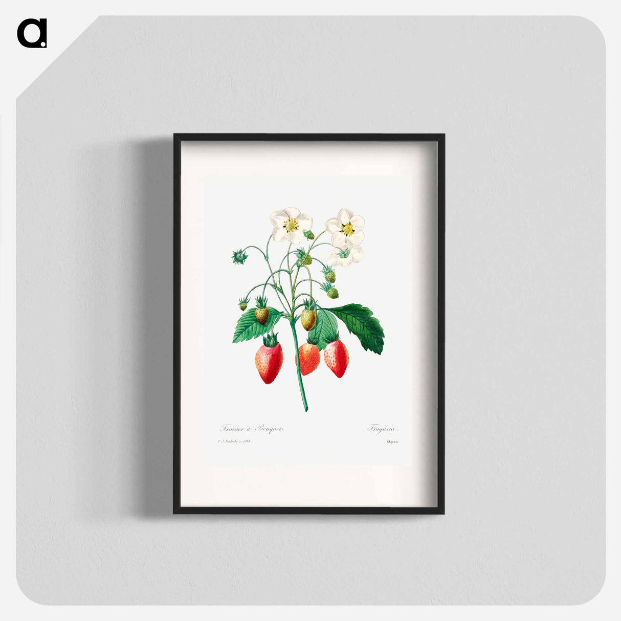 Strawberry - Pierre Joseph Redouté Poster.
