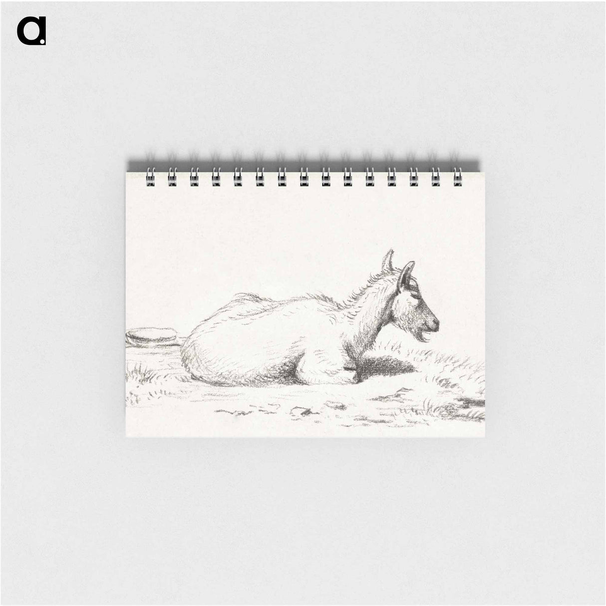 Lying goat - ジャン ベルナール Memo.