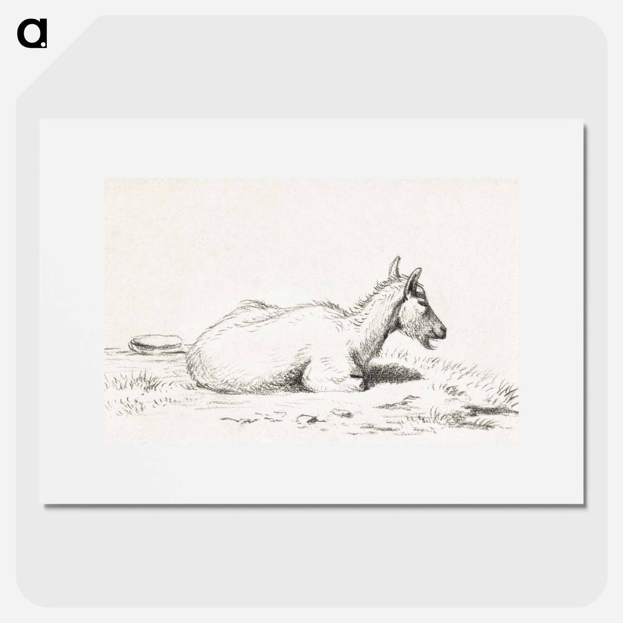 Lying goat - ジャン ベルナール Poster.