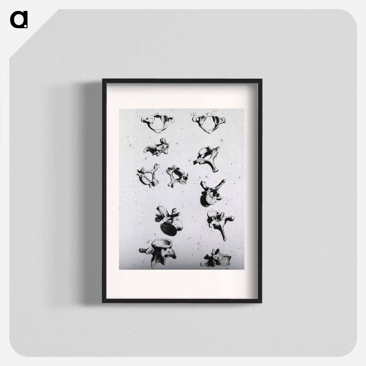 アートポスター-Vertebrae
- 国立医学図書館 Poster.