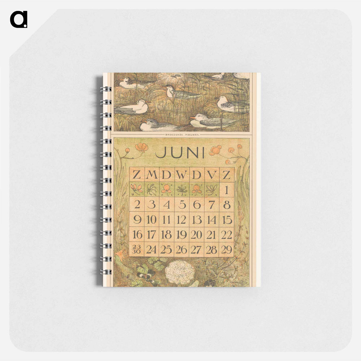 Kalenderblad juni met broedende meeuwen - テオ ヴァン ホイテマ Memo.