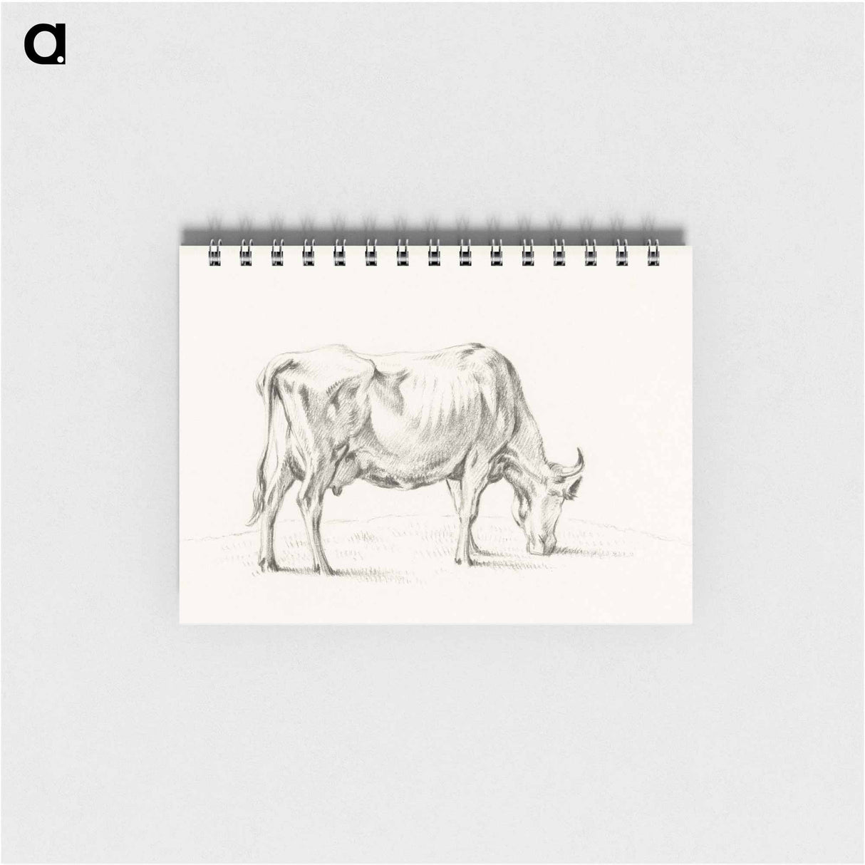 Standing cow - ジャン ベルナール Memo.