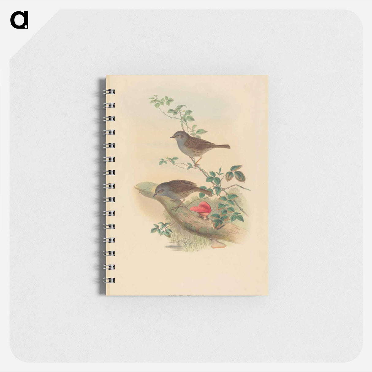 アートメモ帳-Accentor modularis
- ジョン グールド Memo.
