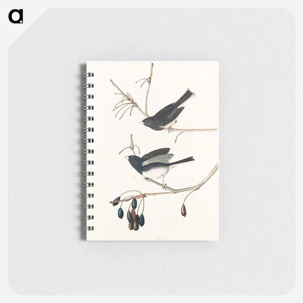 アートメモ帳-Snow Bird from Birds of America
- アメリカの鳥たち Memo.