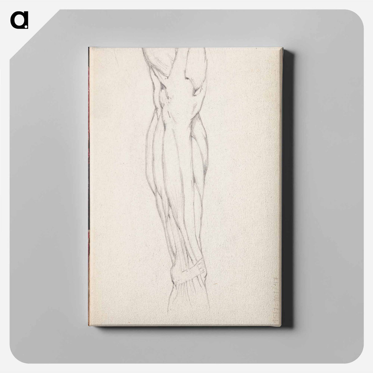 アートパネル-(unknown)part of a sketchbook - アルバート エーデルフェルト Canvas.