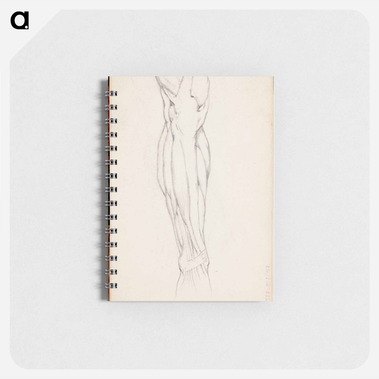 アートメモ帳-(unknown)part of a sketchbook - アルバート エーデルフェルト Memo.
