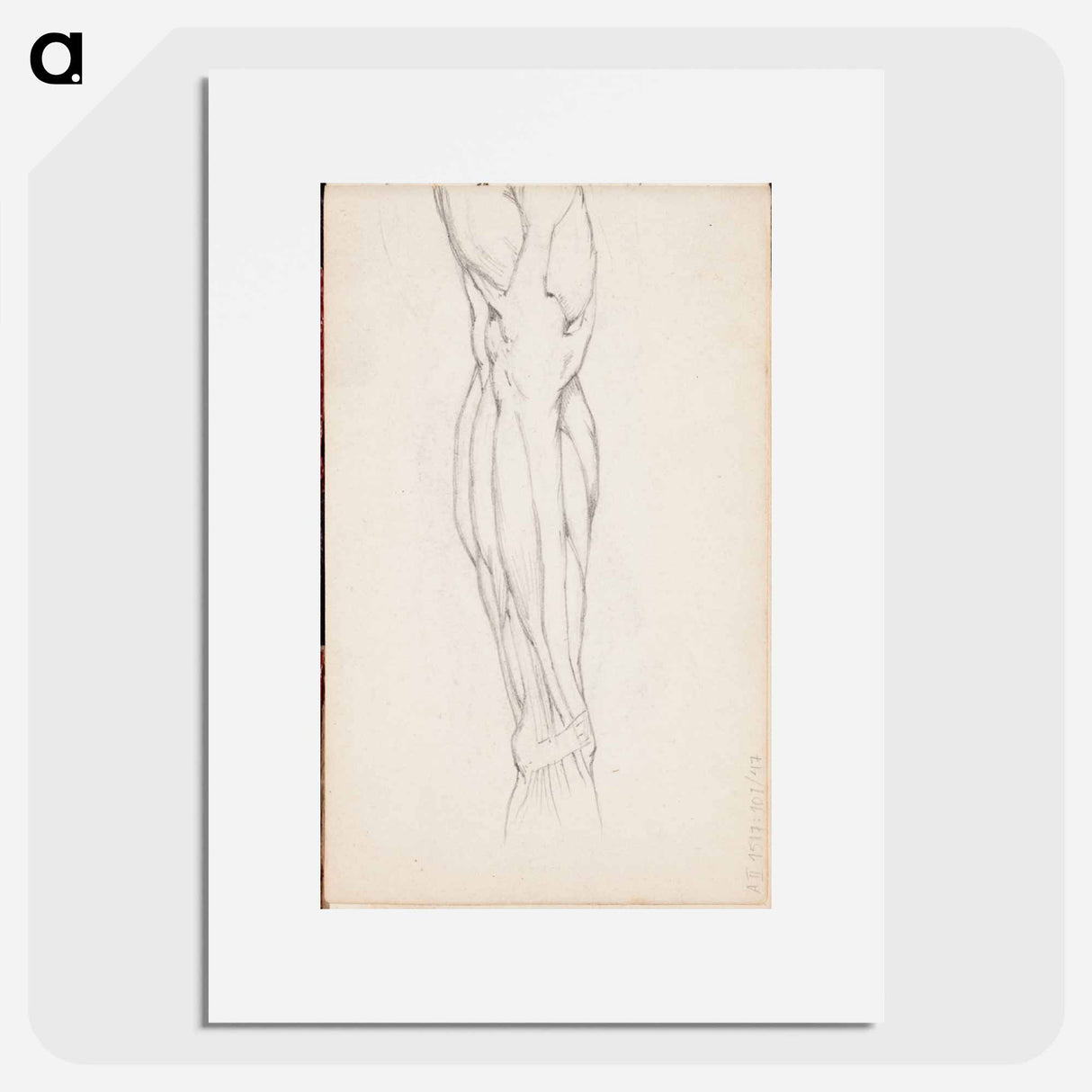 (unknown)part of a sketchbook - アルバート エーデルフェルト Poster.