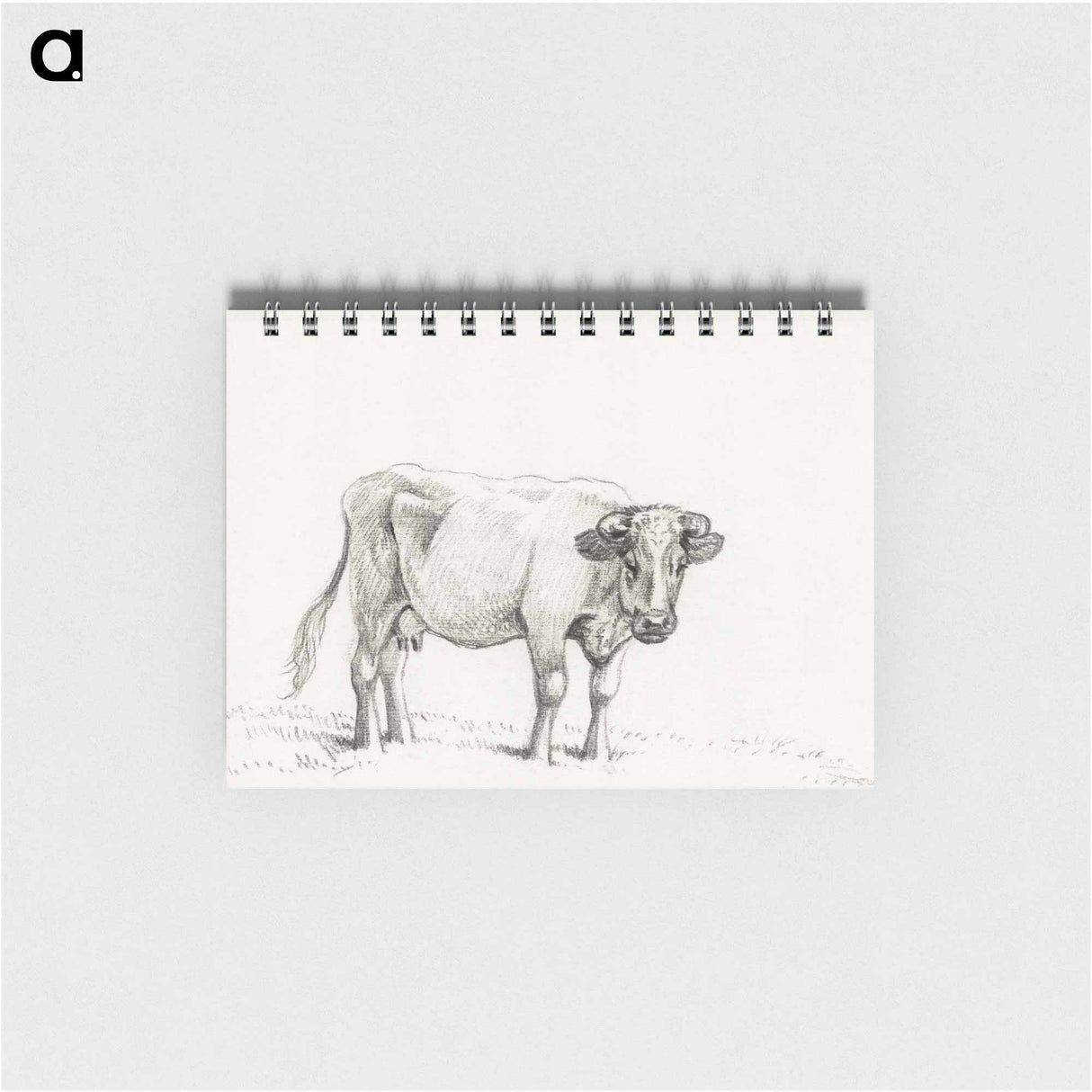 Standing cow - ジャン ベルナール Memo.