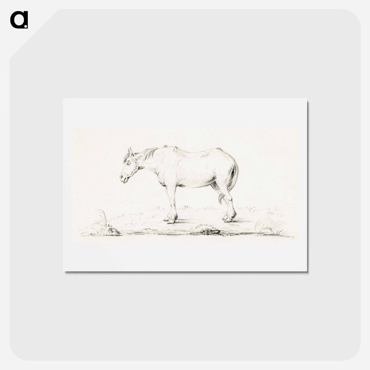 アートポストカード-Standing horse - ジャン ベルナール Postcard.