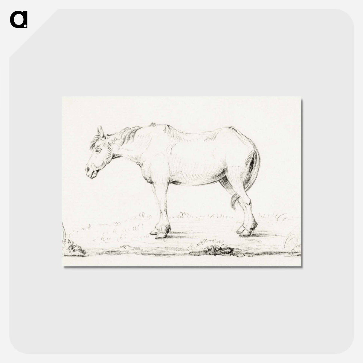アートポストカード-Standing horse - ジャン ベルナール Postcard.
