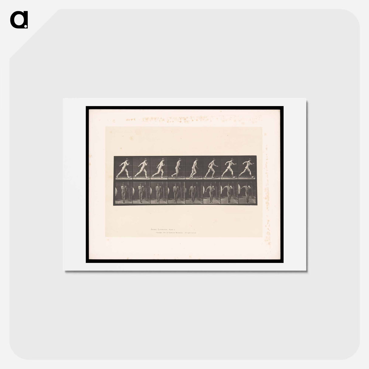 アートポストカード-Naked Man Walking
- エドワード マイブリッジ Postcard.