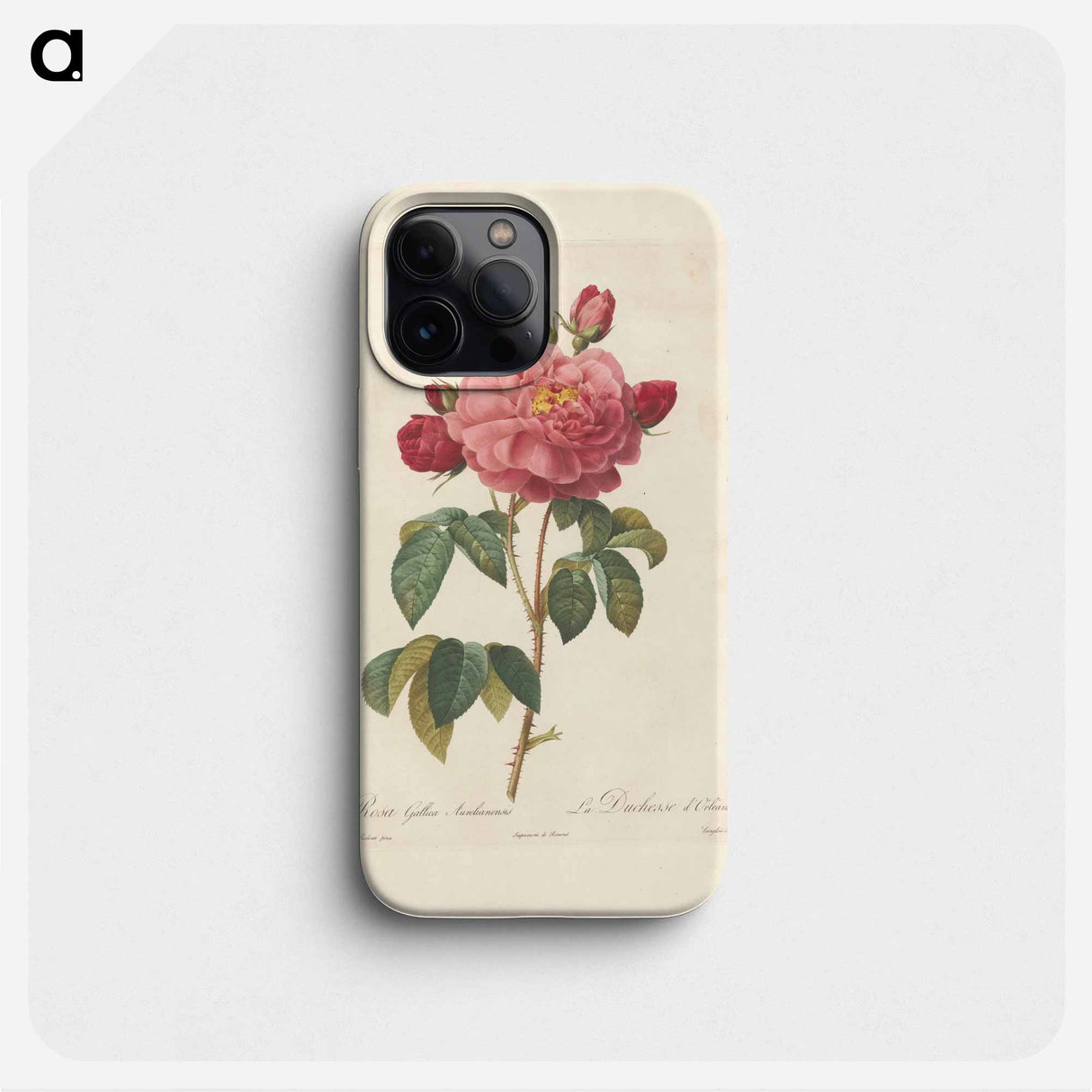 Rose illustration - ピエール ジョゼフ ルドゥーテ Phone Case.