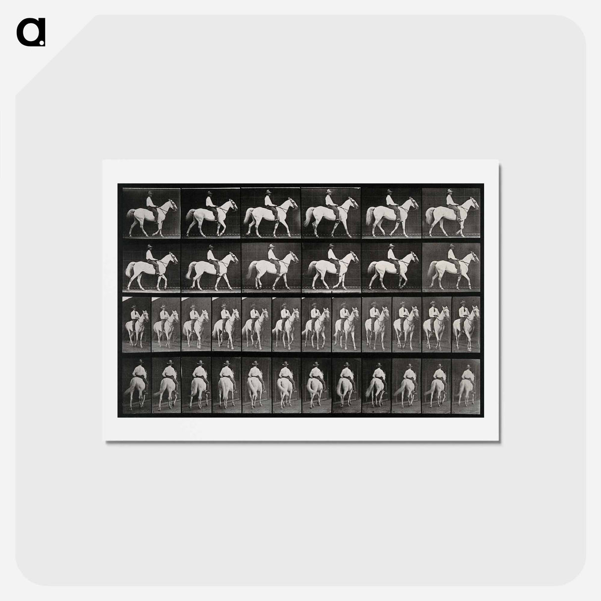 アートポストカード-Man on Horse
- エドワード マイブリッジ Postcard.