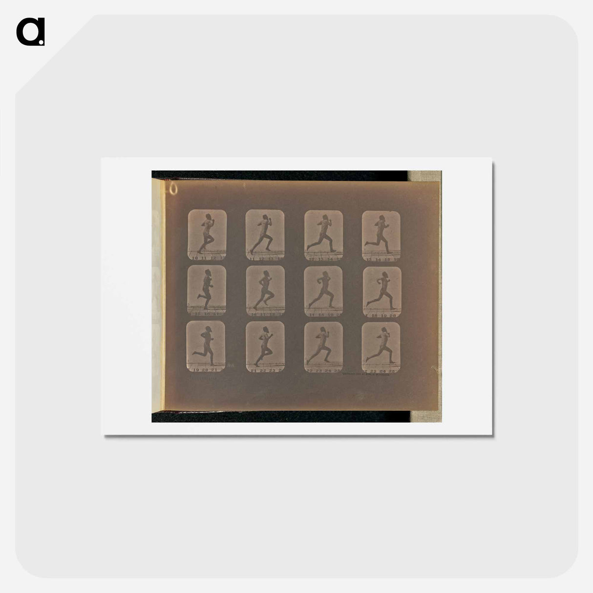 アートポストカード-Running
- エドワード マイブリッジ Postcard.