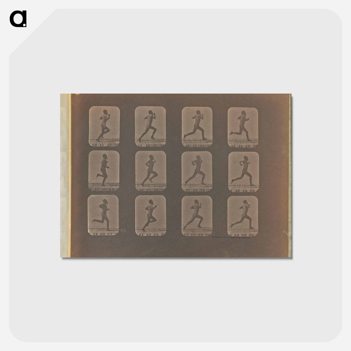 アートポストカード-Running
- エドワード マイブリッジ Postcard.