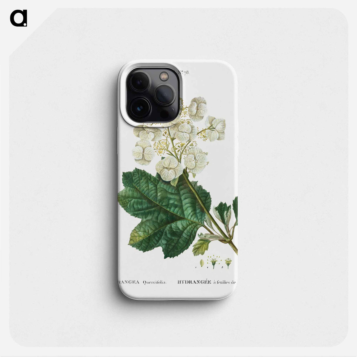 Oakleaf hydrangea - ピエール ジョゼフ ルドゥーテ Phone Case.