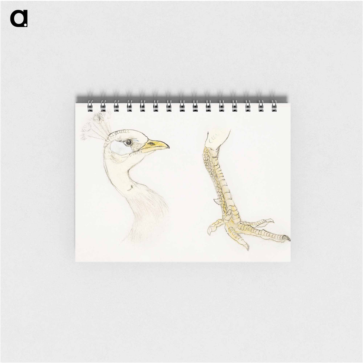 Kop en poot van een pauw - テオ ヴァン ホイテマ Memo.