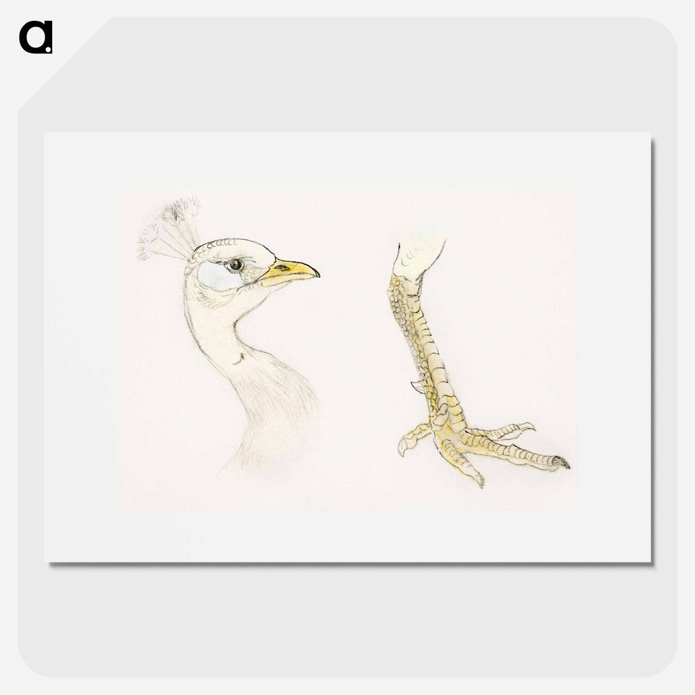 A cup of coffee - Theo van Hoytema Poster.